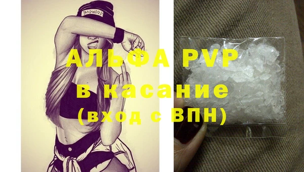 крисы Медвежьегорск