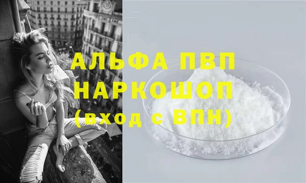 крисы Медвежьегорск