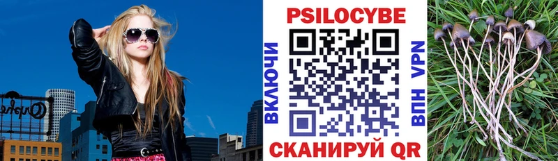 Псилоцибиновые грибы Cubensis  KRAKEN ТОР  Монино 